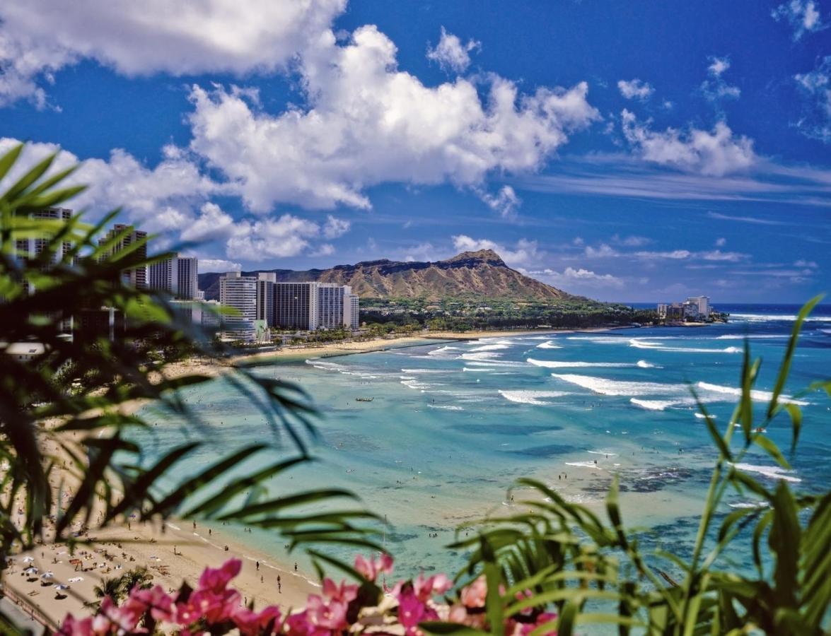 Picturesque Pacific Monarch * Honolulu