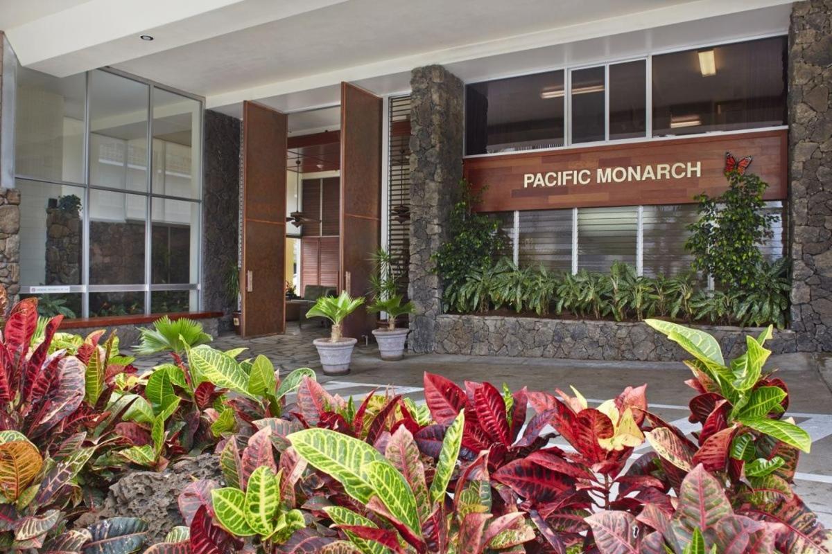 Picturesque Pacific Monarch *